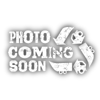 2018 Kenworth T800 Miscellaneous Parts